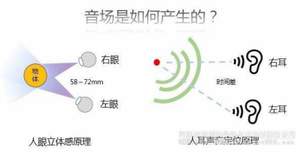 聲音是怎么被定位的